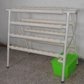 /msite/products/detail/productid/57386429/id/537503.html