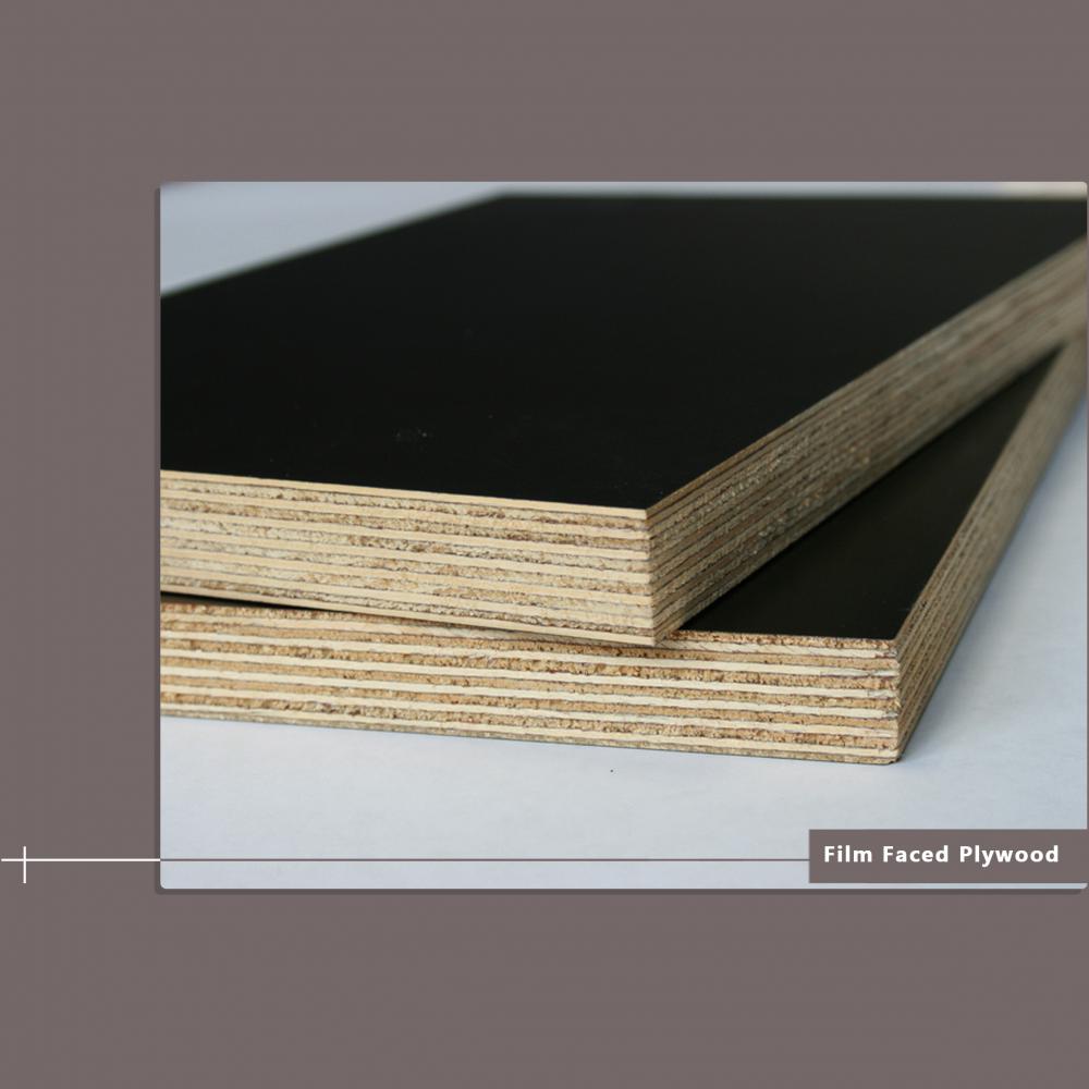 4 X 8 ' Black Film Faced Plywood 12 Mm