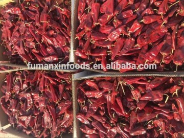red chilli