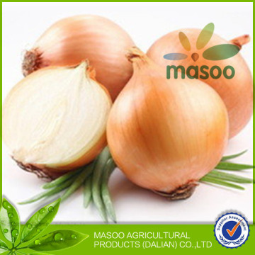 Chinese Fresh onions, fresh vegetables, good quality