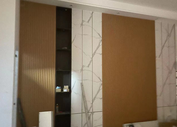Home Elevator Exhibition Home Elevator Exhibition
