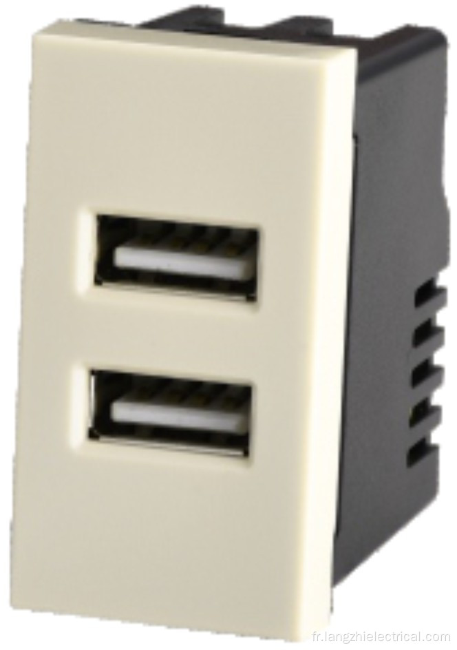 Prise USB à 2 ports 2.1a 5V (110-240V ~)
