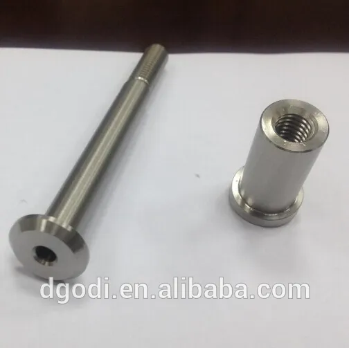 stainless steel pivot screw and nut from dongguan factory