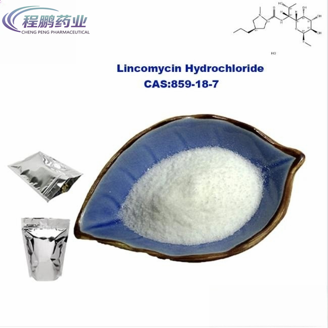 powder for animal Lincomycin hydrochloride