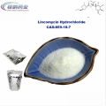 Polvo soluble de agua Lincomycin Hydrocloruro CAS 859-18-7