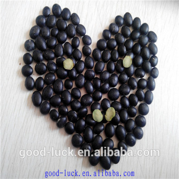 Chinese cheap black beans with green inside(2014 crop)