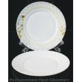 Plato plano de jade blanco - Plato plano de 9 "