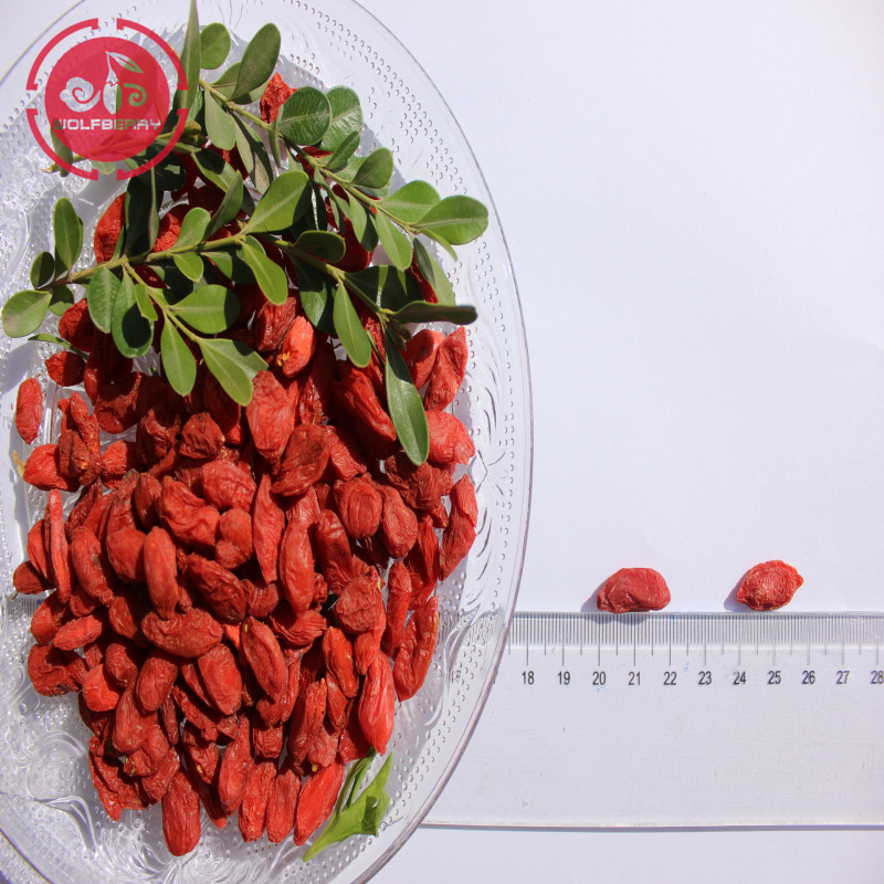 Le bacche di Goji a basso contenuto di antiparassitari della migliore fabbrica GMP