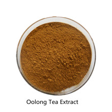 Buy online active ingredients Oolong Tea Extract powder