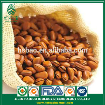 Wholesale New Crop Deep Discount High Quality Open Pine Nuts in Shell