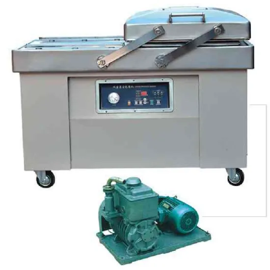 DZ600-2SB   double chamber food automatic vacuum packaging machine