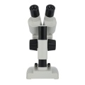 Microscópio de brinquedo de vendas direta Microscópio estéreo binocular