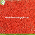 Perder peso Nutrição seca natural Goji tibetano