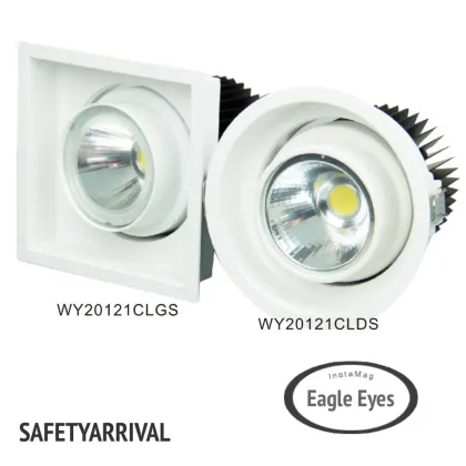 Eagle Eyes LED Downlight (WY20121CLGS WY20121CLDS)