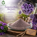 Purpureocellium Lilacinum Powder فطر التحكم البيولوجي
