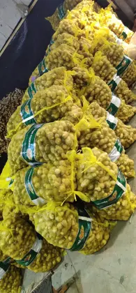 Serve Fresh Regular Fresh Ginger