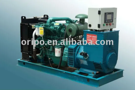 worldewide maintenance yuchai brand power generator