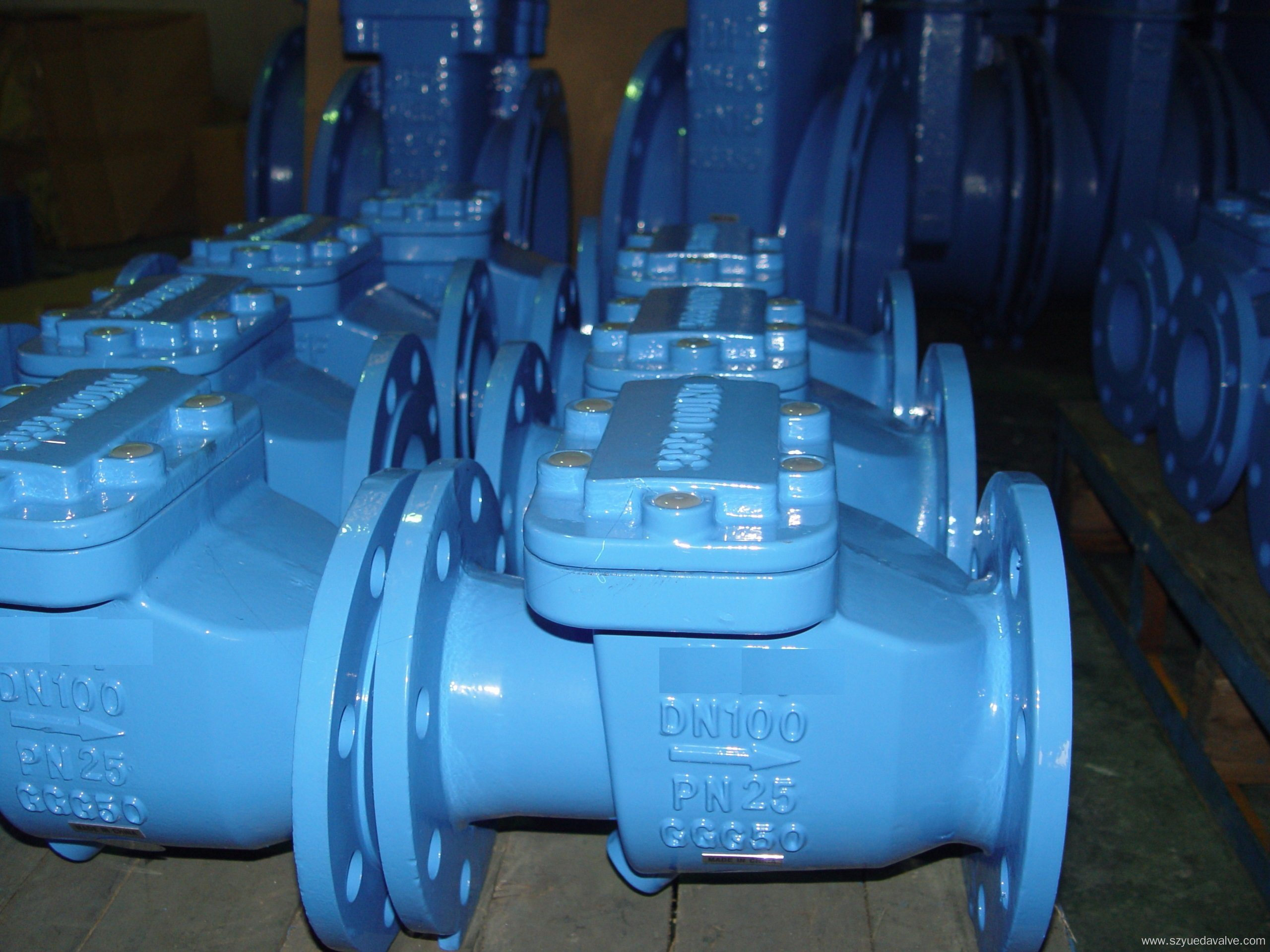 Swing Check Valve BS DIN3202-F6 Dn50-Dn300 Pn25