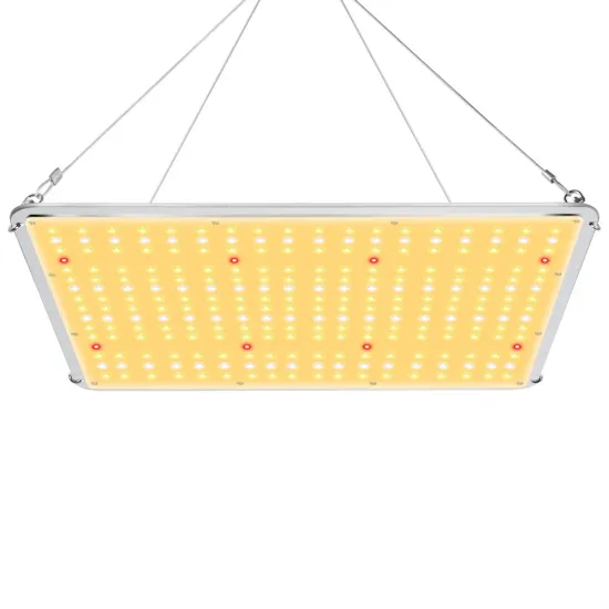 Quantum Board 100W Light For Vegetable