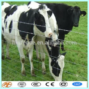 Hot Dipped Galvanized Hingejoint Field Fence for holstein cattle