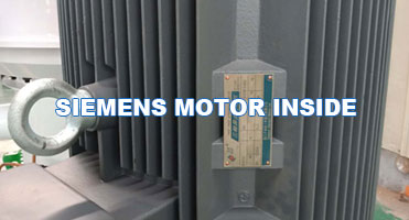 Siemens-motor