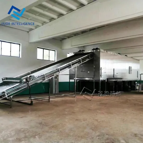 China Professional Fruit and Vegetable Drying Machine for Pasta