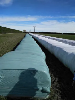 Anti Rat Silage Wrap Film