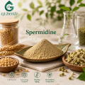 Polvo de espermidina de alta pureza para suplementos dietéticos