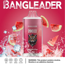 BANG LEADER 20K Puffs Vape Wholesale Germany