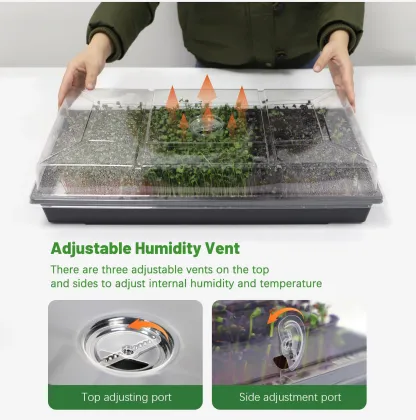 Indoor Microgreens Seeds Growing Kit: Vegetable Plant Tray Nursery Set
