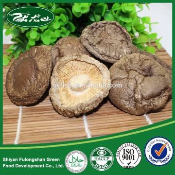 Truffles mushrooms price