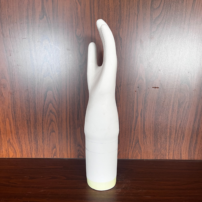 Ceramic hand model