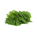 Supplement Bulk Powder moringa leaves extract