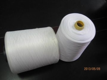 Raw White 200d/2 Polyester Embroidery Thread For Sportswear