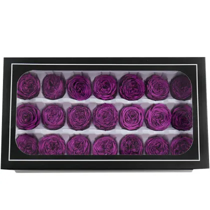 Wholesale Long-Lasting Austin Preserved Roses - Eternelle Eternal Flowers
