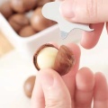 Atıştırmalık için Premium Macadamia Fındıkları