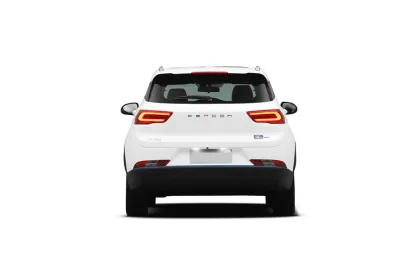 Electric Integrated main Version M2 5 seats car