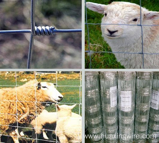 High Quality Field Fence / Cattle Fence