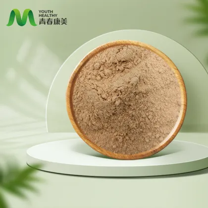 High Quality Astragalus Root Extract