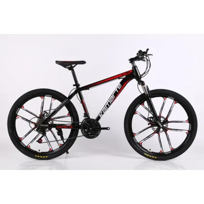 Custom Wheel Set and Carbon Frame for Adult MountainPeak Stricker/Road Bike