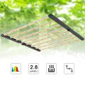 4x4 Grow Light Tent 1000W LED dobrável luz