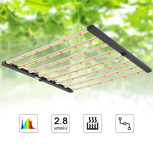 4X4 Grow Light Tent 1000W Led Foldable Light