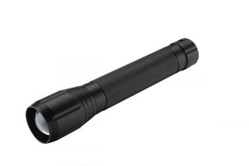 10W TORCH