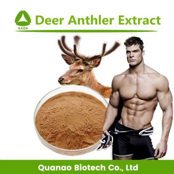 Enhancing Sexual Deer Anthler Velvet Extract Powder