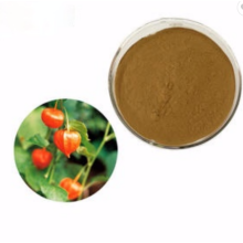 Extract 20% Withanolides Ashwagandha