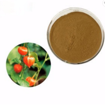 Extrait 20% Withanolides Ashwagandha