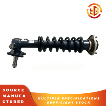 Integrated Shock Strut For Electric Sightseeing Car