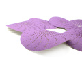 Purple Ceramic Sanding Paper Discs for Automotive