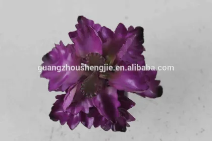 CHY040923 Wholesale cactus plant/indoor decoration plant/mini cactus