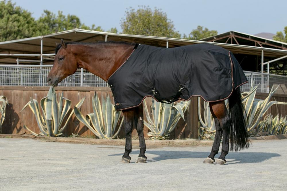 Produtos protetores Signature Rain Sheet Horse Executação